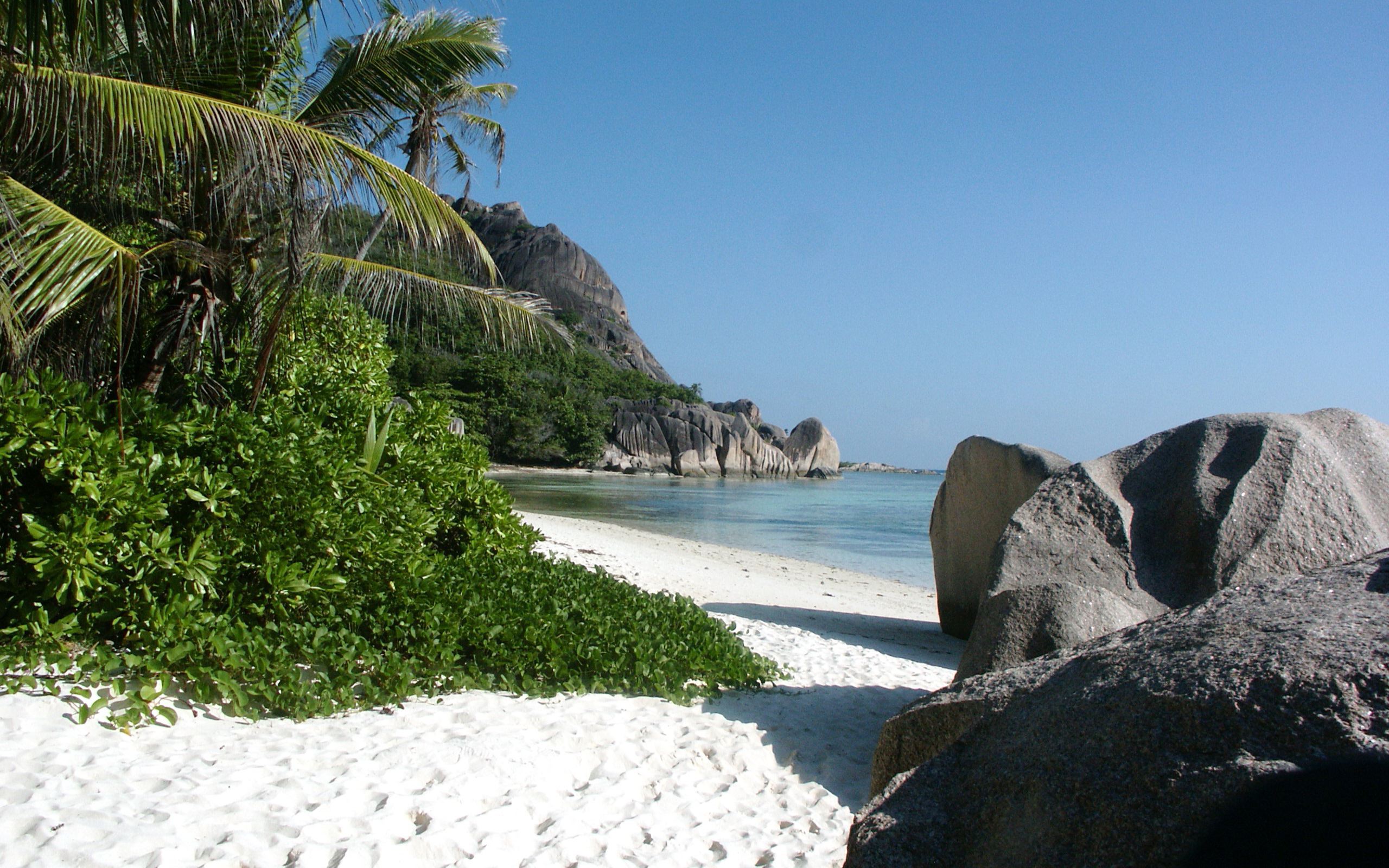 世界举重公开赛赛后运动康复指南发布,举重世界大赛